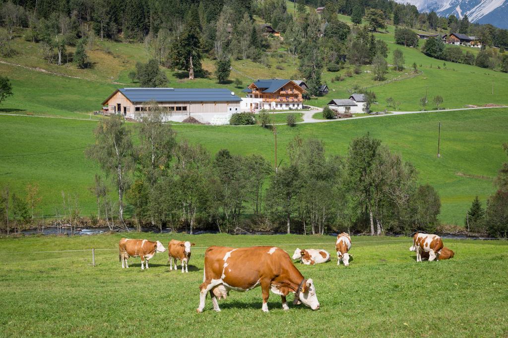Rojerhof